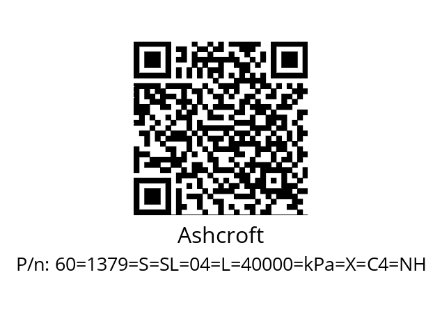   Ashcroft 60=1379=S=SL=04=L=40000=kPa=X=С4=NH