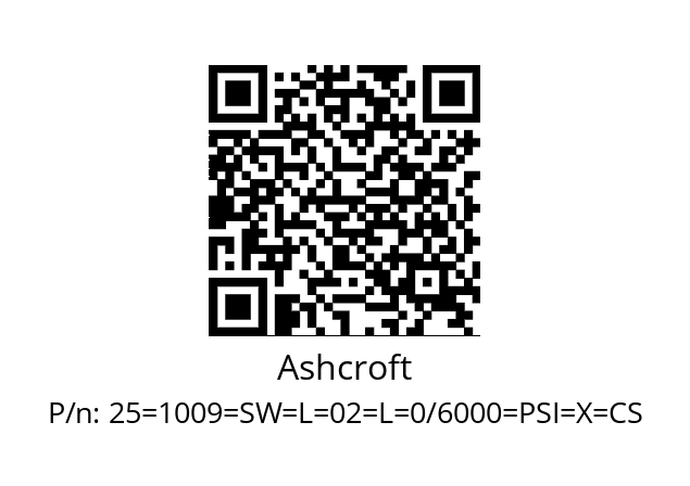   Ashcroft 25=1009=SW=L=02=L=0/6000=PSI=X=CS