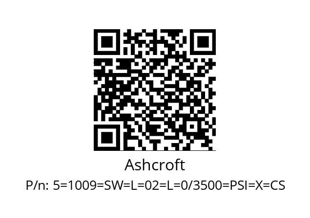   Ashcroft 5=1009=SW=L=02=L=0/3500=PSI=X=CS