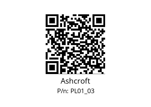   Ashcroft PL01_03