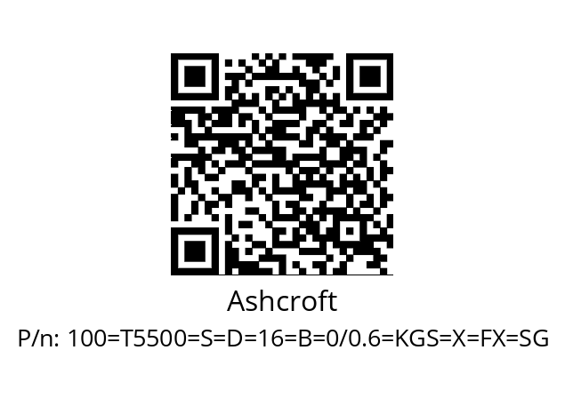   Ashcroft 100=Т5500=S=D=16=B=0/0.6=KGS=X=FX=SG