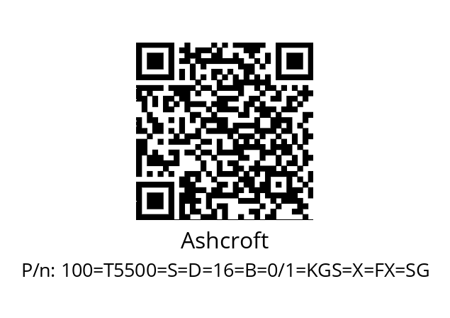   Ashcroft 100=Т5500=S=D=16=B=0/1=KGS=X=FX=SG