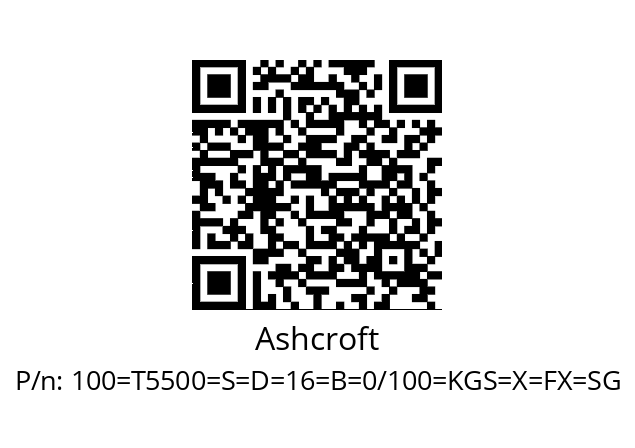   Ashcroft 100=Т5500=S=D=16=B=0/100=KGS=X=FX=SG