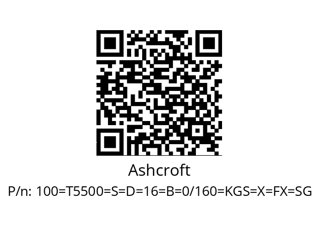   Ashcroft 100=Т5500=S=D=16=B=0/160=KGS=X=FX=SG