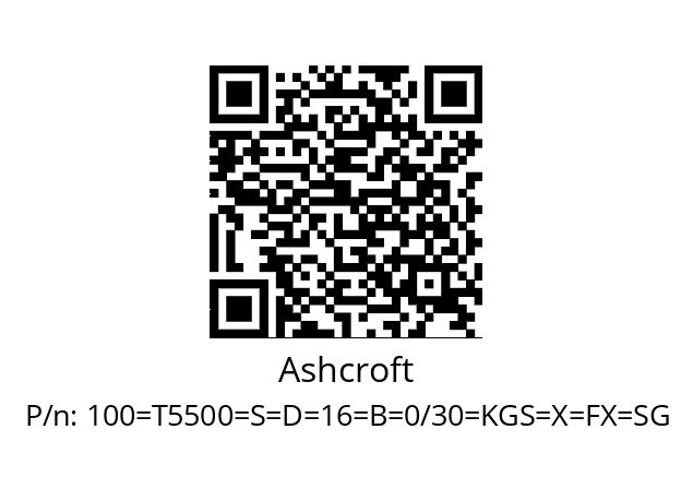   Ashcroft 100=Т5500=S=D=16=B=0/30=KGS=X=FX=SG