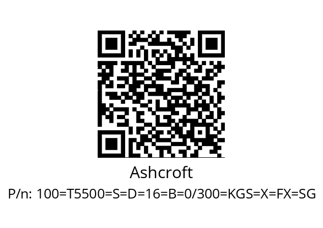   Ashcroft 100=Т5500=S=D=16=B=0/300=KGS=X=FX=SG