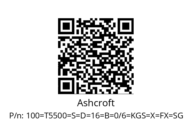   Ashcroft 100=Т5500=S=D=16=B=0/6=KGS=X=FX=SG