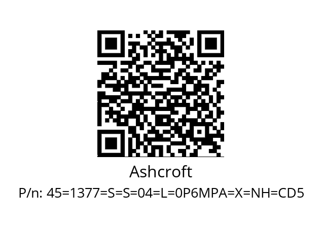   Ashcroft 45=1377=S=S=04=L=0P6MPA=X=NH=CD5