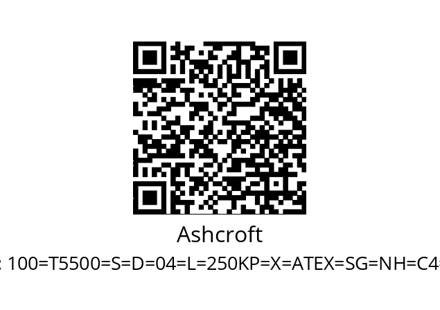   Ashcroft 100=T5500=S=D=04=L=250KP=X=ATEX=SG=NH=C4=EN