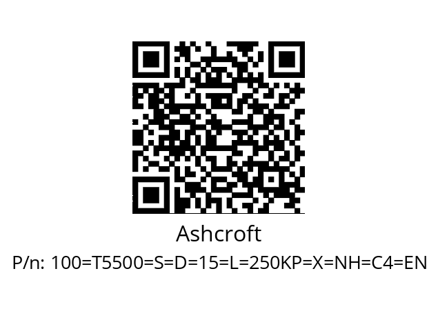   Ashcroft 100=T5500=S=D=15=L=250KP=X=NH=C4=EN