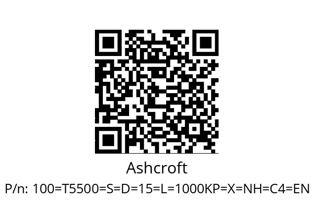   Ashcroft 100=T5500=S=D=15=L=1000KP=X=NH=C4=EN