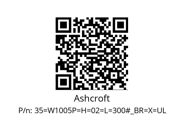   Ashcroft 35=W1005P=H=02=L=300#_BR=X=UL