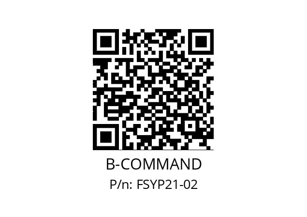   B-COMMAND FSYP21-02