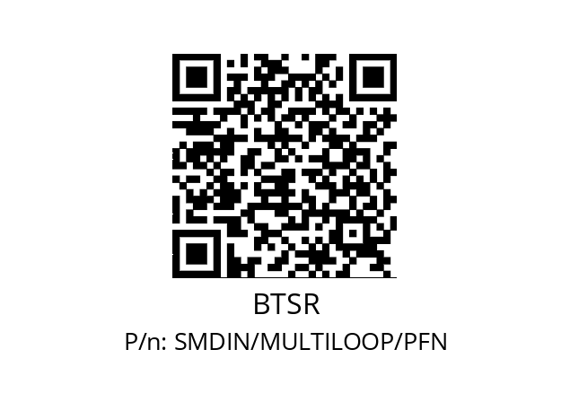   BTSR SMDIN/MULTILOOP/PFN