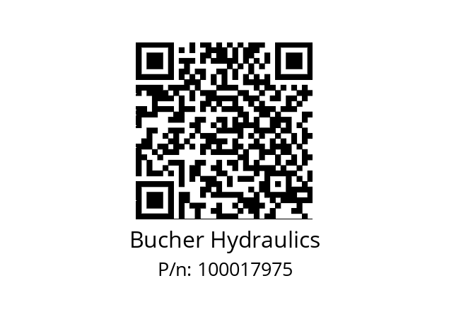   Bucher Hydraulics 100017975