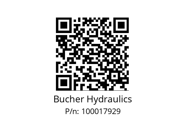   Bucher Hydraulics 100017929