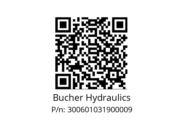   Bucher Hydraulics 300601031900009