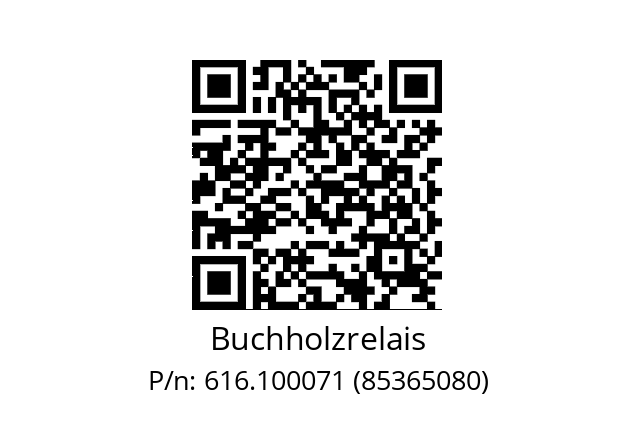   Buchholzrelais 616.100071 (85365080)