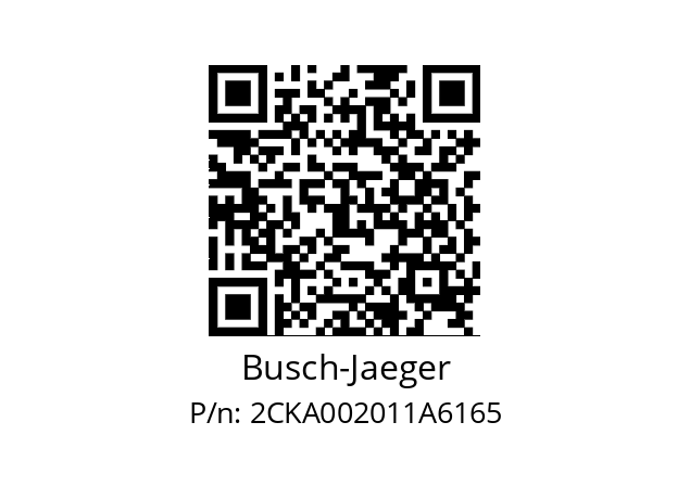   Busch-Jaeger 2CKA002011A6165