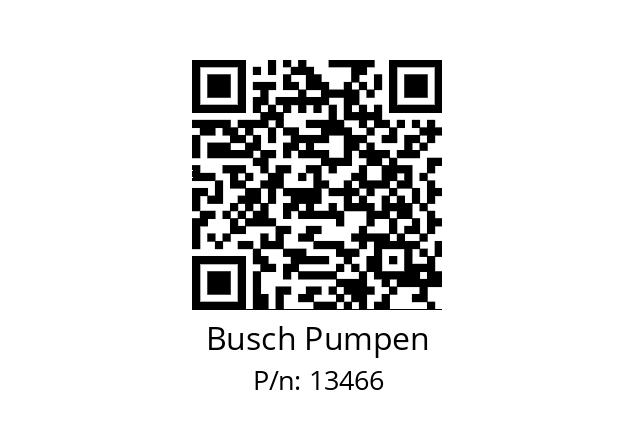   Busch Pumpen 13466