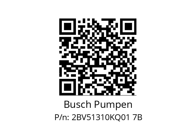   Busch Pumpen 2BV51310KQ01 7B