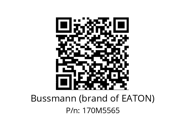   Bussmann (brand of EATON) 170M5565