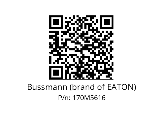   Bussmann (brand of EATON) 170M5616