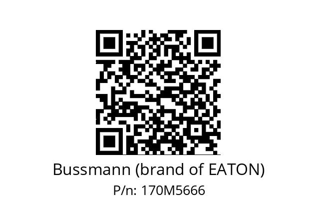   Bussmann (brand of EATON) 170M5666