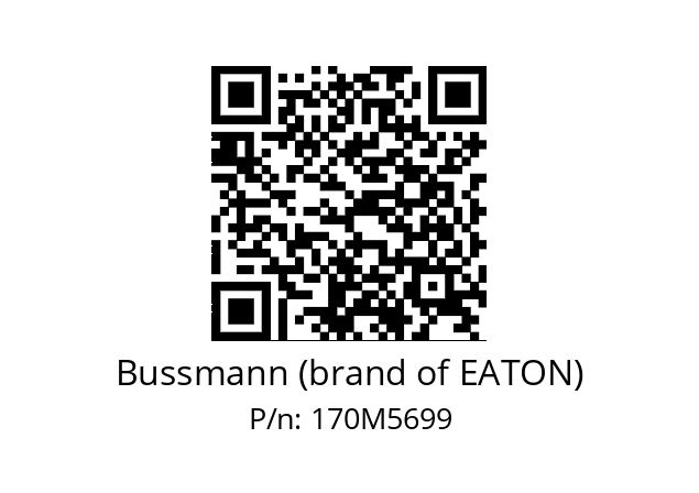   Bussmann (brand of EATON) 170M5699