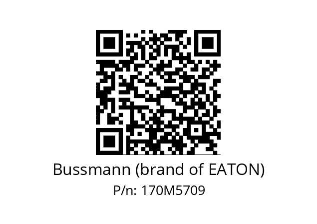   Bussmann (brand of EATON) 170M5709