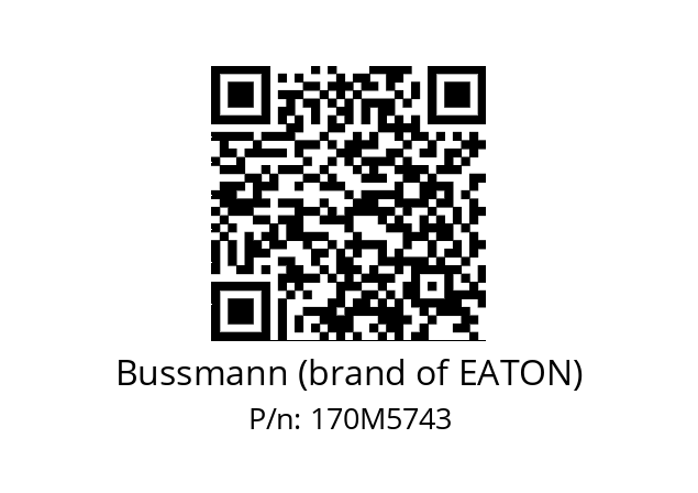   Bussmann (brand of EATON) 170M5743