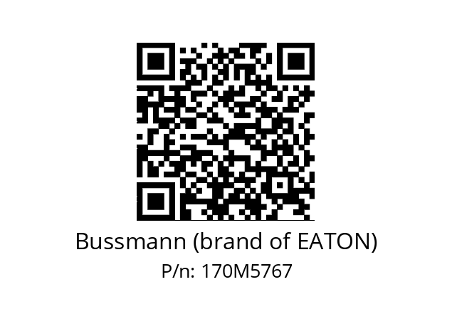   Bussmann (brand of EATON) 170M5767