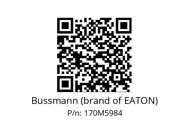   Bussmann (brand of EATON) 170M5984