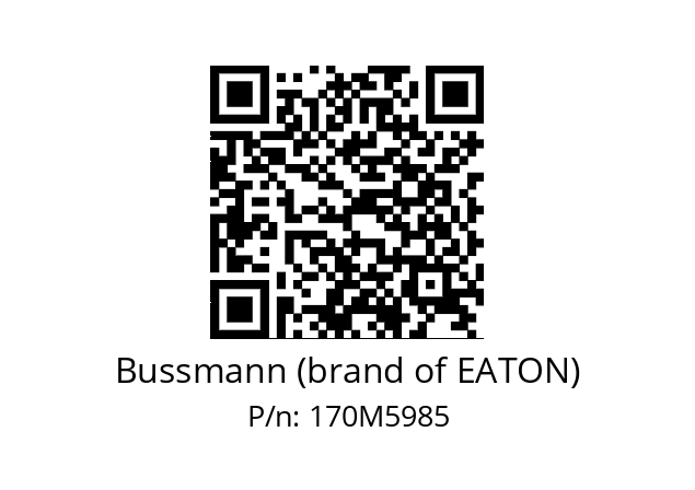   Bussmann (brand of EATON) 170M5985