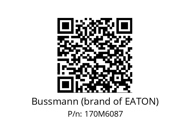   Bussmann (brand of EATON) 170M6087