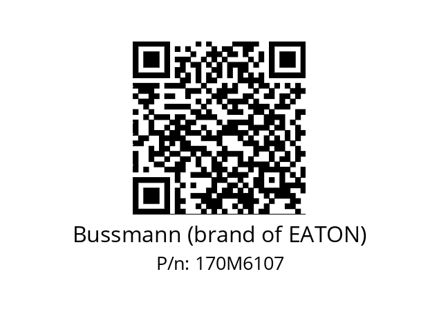   Bussmann (brand of EATON) 170M6107