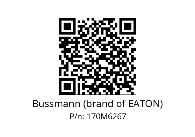   Bussmann (brand of EATON) 170M6267