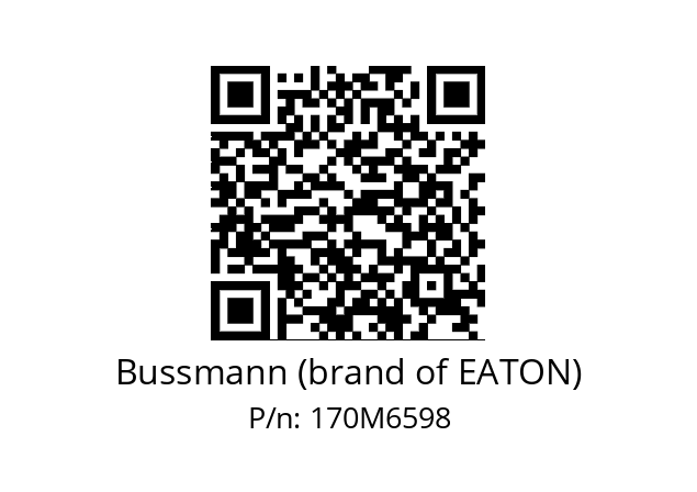   Bussmann (brand of EATON) 170M6598