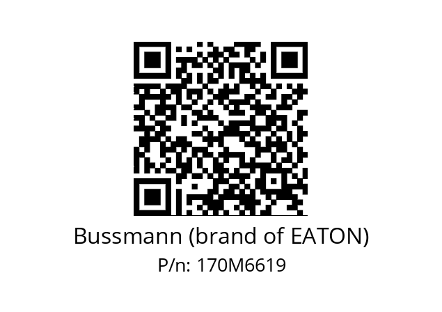   Bussmann (brand of EATON) 170M6619