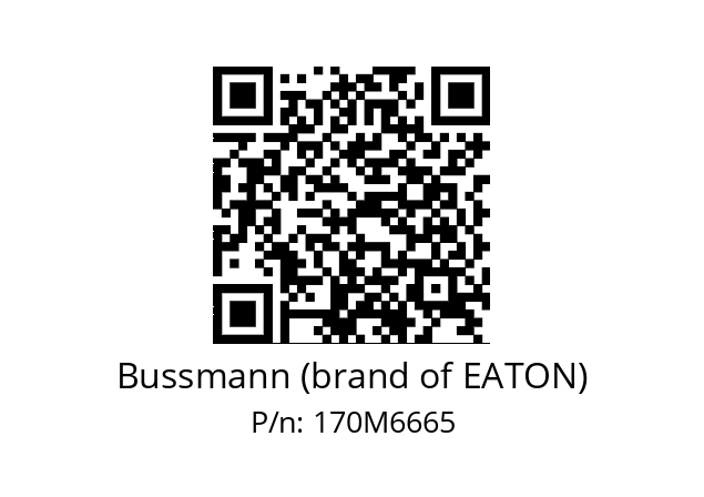   Bussmann (brand of EATON) 170M6665