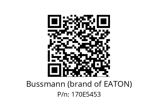   Bussmann (brand of EATON) 170E5453