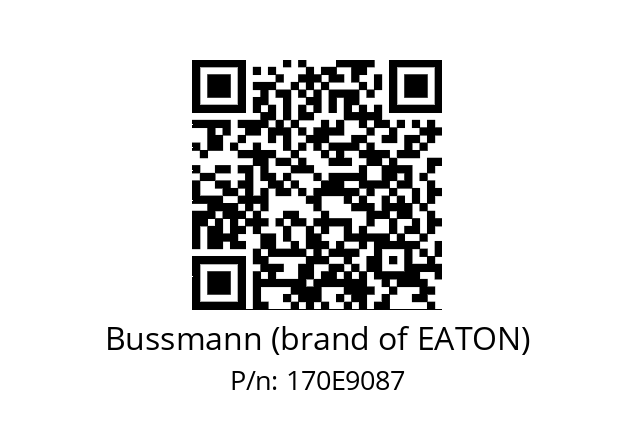   Bussmann (brand of EATON) 170E9087