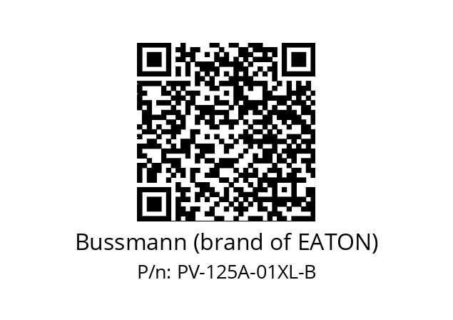   Bussmann (brand of EATON) PV-125A-01XL-B