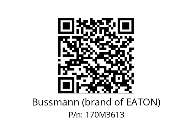   Bussmann (brand of EATON) 170М3613