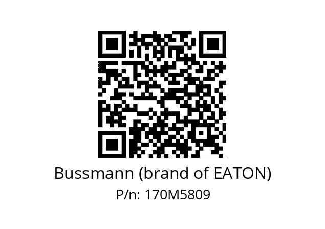   Bussmann (brand of EATON) 170M5809