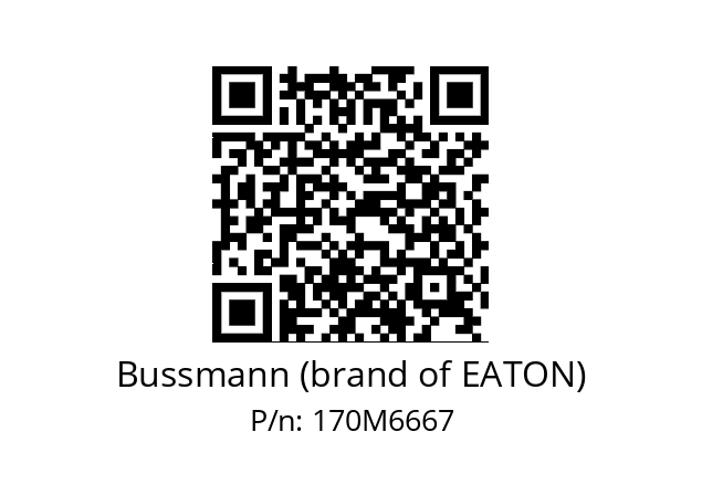   Bussmann (brand of EATON) 170M6667