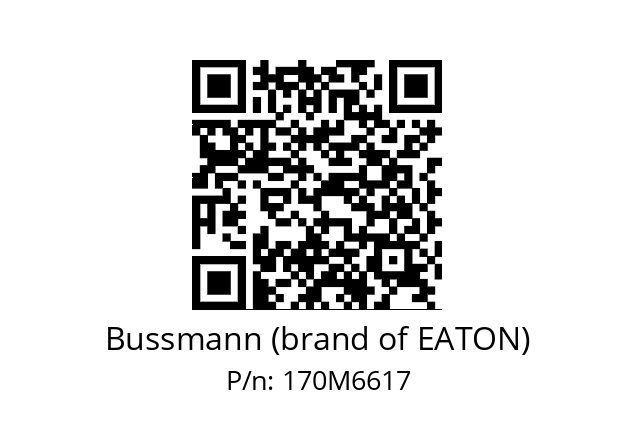   Bussmann (brand of EATON) 170M6617