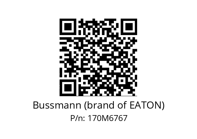   Bussmann (brand of EATON) 170M6767