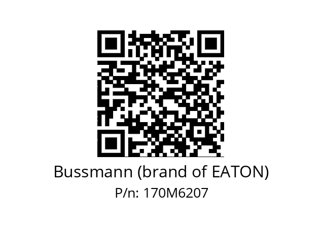   Bussmann (brand of EATON) 170M6207