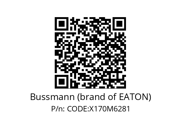   Bussmann (brand of EATON) CODE:X170M6281